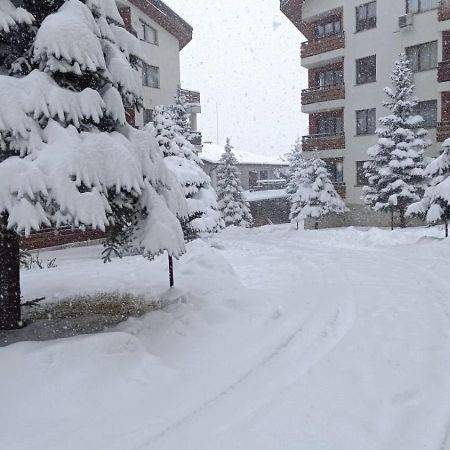 Studio Detelina Residence Банско Екстериор снимка