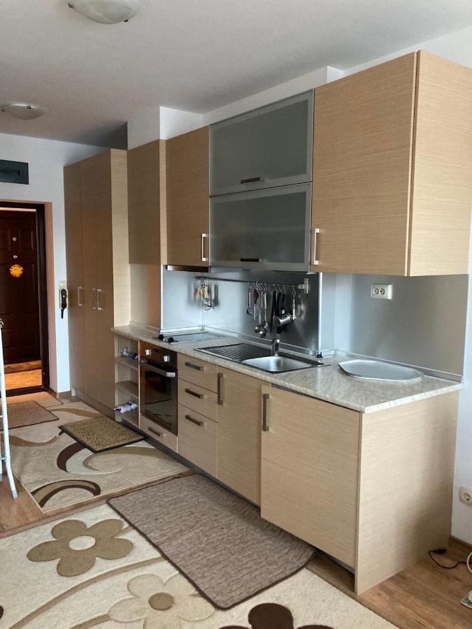 Studio Detelina Residence Банско Екстериор снимка