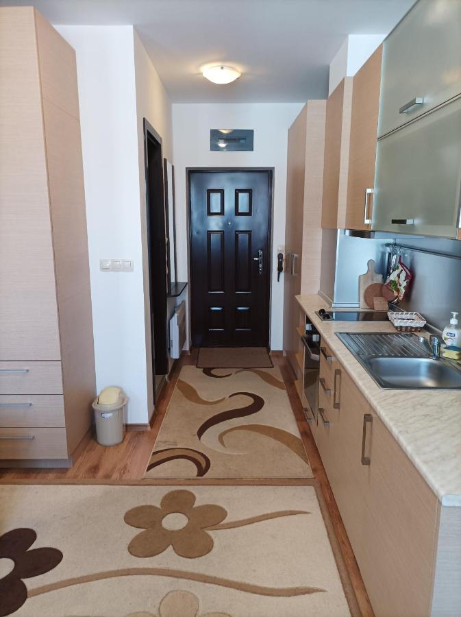 Studio Detelina Residence Банско Екстериор снимка