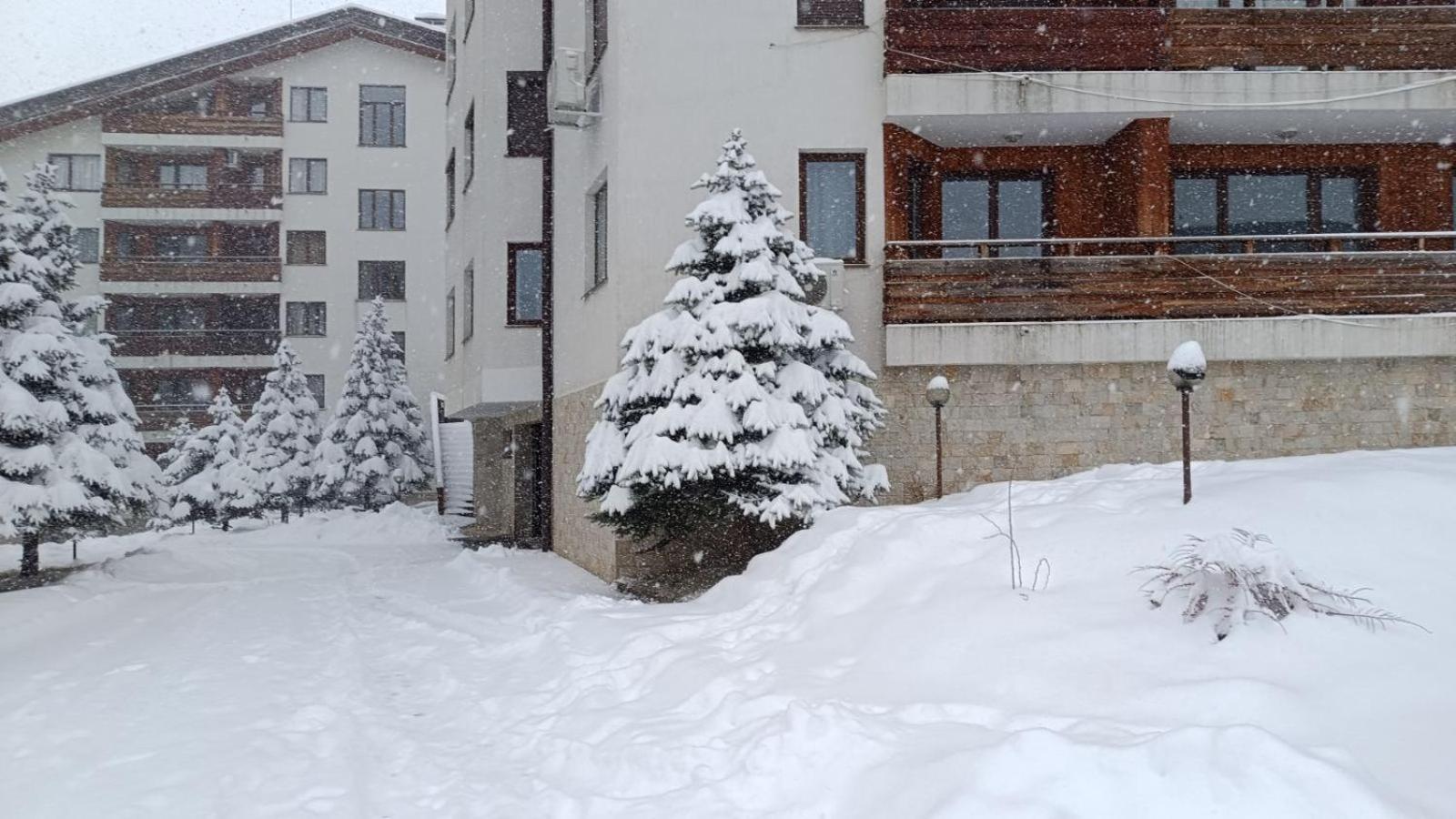 Studio Detelina Residence Банско Екстериор снимка